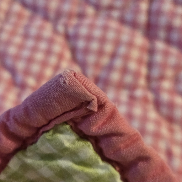 Pottery Barn Kids Eric Carle The Very Hungry Caterpillar Butterfly Gingham Quilt - Picture 11 of 16